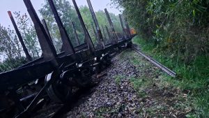 Delegada Peña esperará resultados de investigación para analizar querella por atentado a tren en Máfil