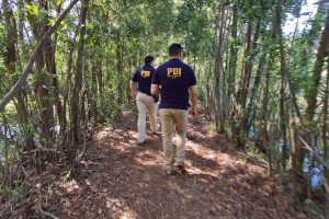 Investigan incendio que consumió tres hectáreas en Santuario de la Naturaleza Angachilla