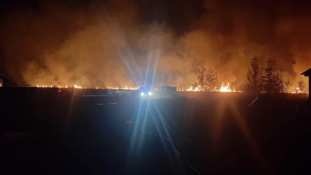 Incendio forestal consumió una importante extensión de terreno en el sector Piedra Blanca de Valdivia