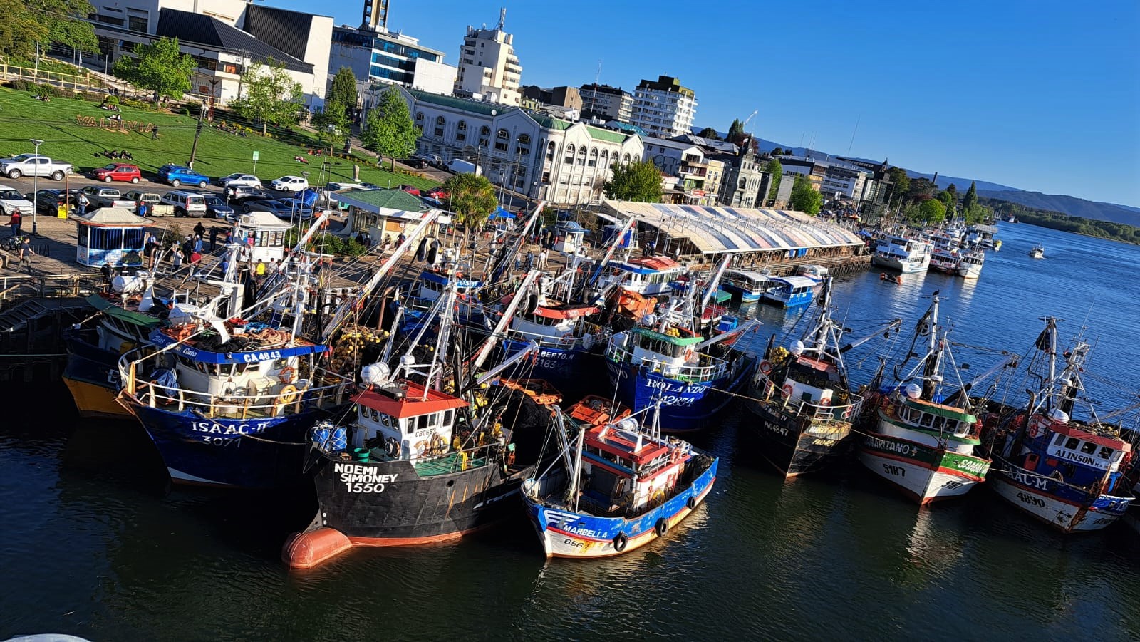 Pescadores confirman cese de captura de recursos en Los Ríos y exigen lo mismo en La Araucanía