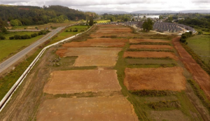 SMA investiga un eventual fraccionamiento de mega proyecto habitacional en Valdivia