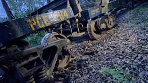 CORMA llama a declarar estado de excepción en Los Ríos tras atentado por descarrilamiento de tren
