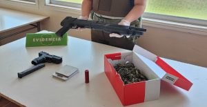 Más de 300 armas ha incautado Carabineros de Los Ríos este año