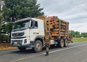 Carabineros detienen a dos sujetos por robo de madera en Río Bueno