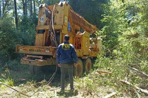 Detienen a tres personas por sustraer madera y recuperan maquinaria forestal en Los Ríos
