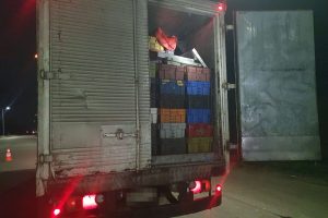 Casi 10 toneladas de reineta fueron incautadas en un control carretero en Lanco
