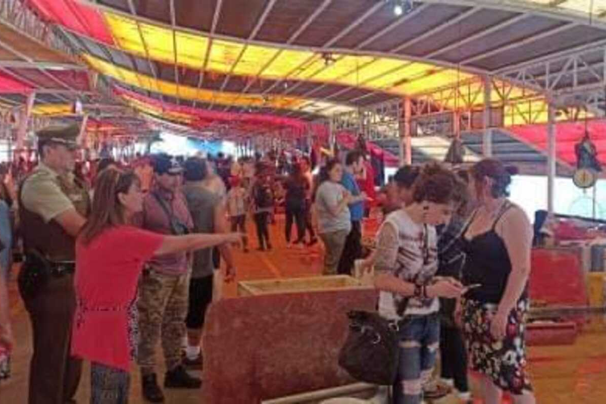 Por ataque de lobo: Locataria de feria fluvial de Valdivia acusa falta de seguridad por municipio