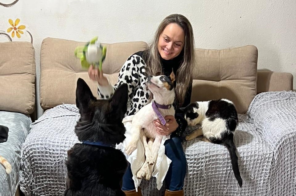 Profesora costeará operación de perrita callejera con millonario premio que ganó en Dreams Valdivia