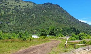 Bienes Nacionales detecta daños de vehículos en humedal de Lago Ranco