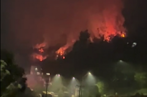 Bomberos trabajan en incendio forestal en la comuna de Corral