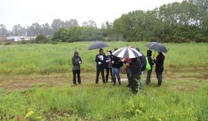Inspeccionan humedal de Isla Teja por causa de inmobiliaria contra el Ministerio de Medio Ambiente
