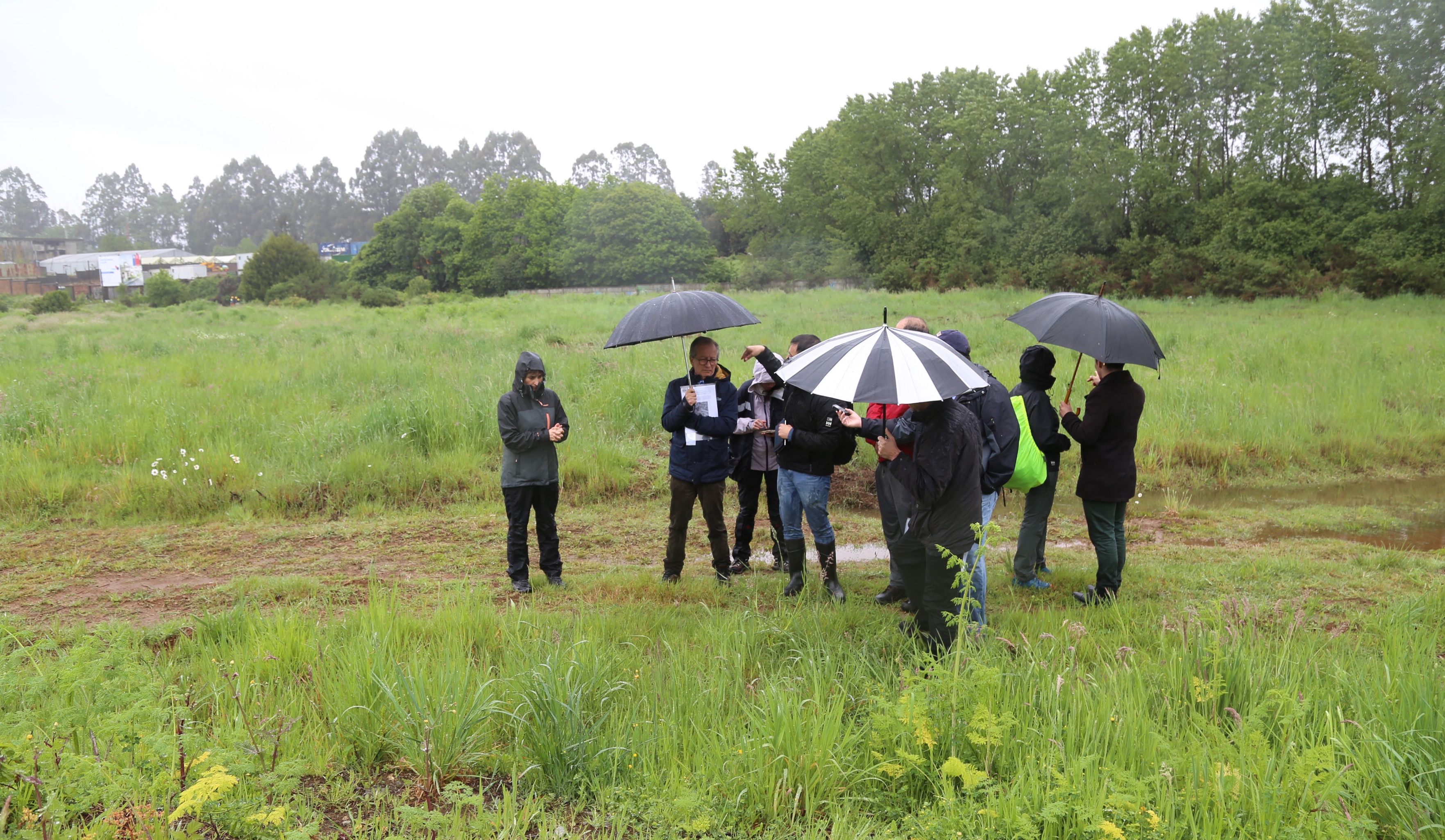 Inspeccionan humedal de Isla Teja por causa de inmobiliaria contra el Ministerio de Medio Ambiente