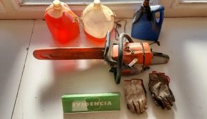 Detienen a cuatro adultos por robo de madera al interior de predio forestal de La Unión
