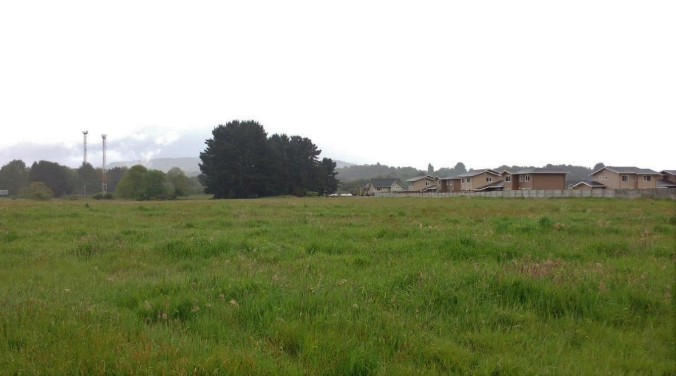 Tras orden judicial: Reactivan evaluación ambiental del proyecto inmobiliario Brisas de Torobayo