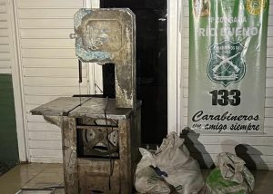 Por abigeato y mantener un matadero clandestino detienen a dos hombres en Río Bueno
