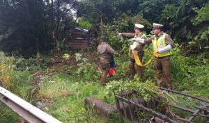 Conductor murió en medio de accidente vehicular en la Ruta 5 Sur en Los Lagos