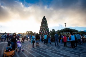 El espíritu navideño se apodera de Valdivia con expo de emprendedores y clásico encendido de árbol