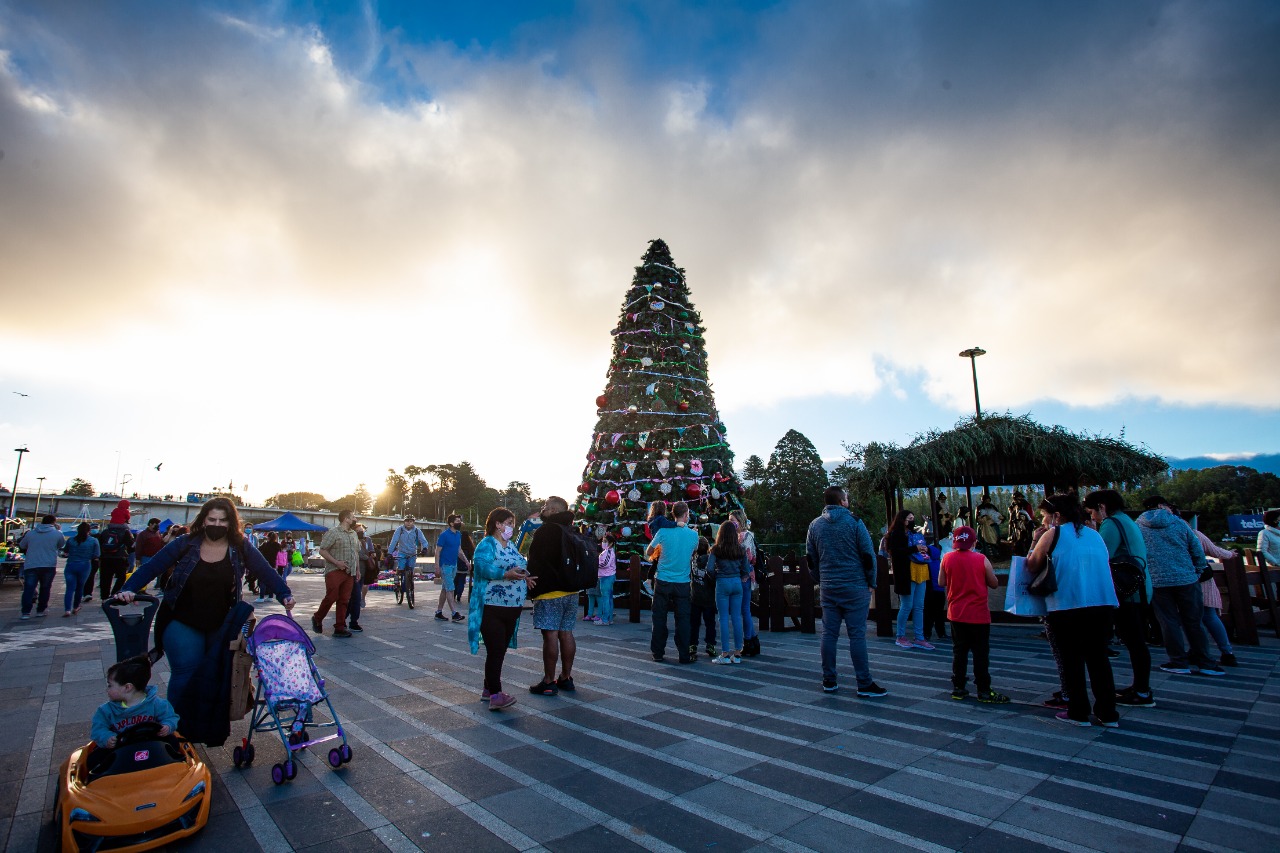 El espíritu navideño se apodera de Valdivia con expo de emprendedores y clásico encendido de árbol