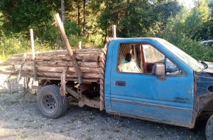 Tenían órdenes de aprehensión vigentes: Detienen a dos personas por robo de madera en Máfil