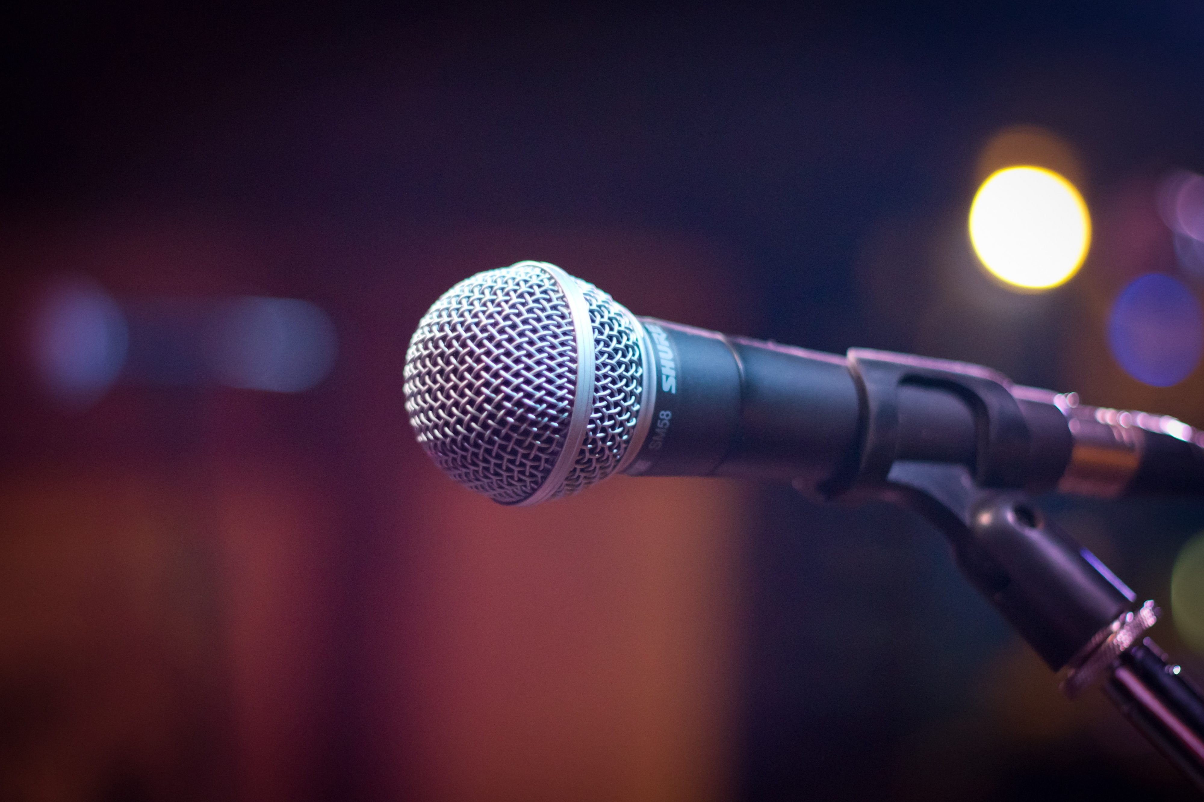 Al ritmo de la música local: Entérate cómo se recibirá el nuevo año en Valdivia