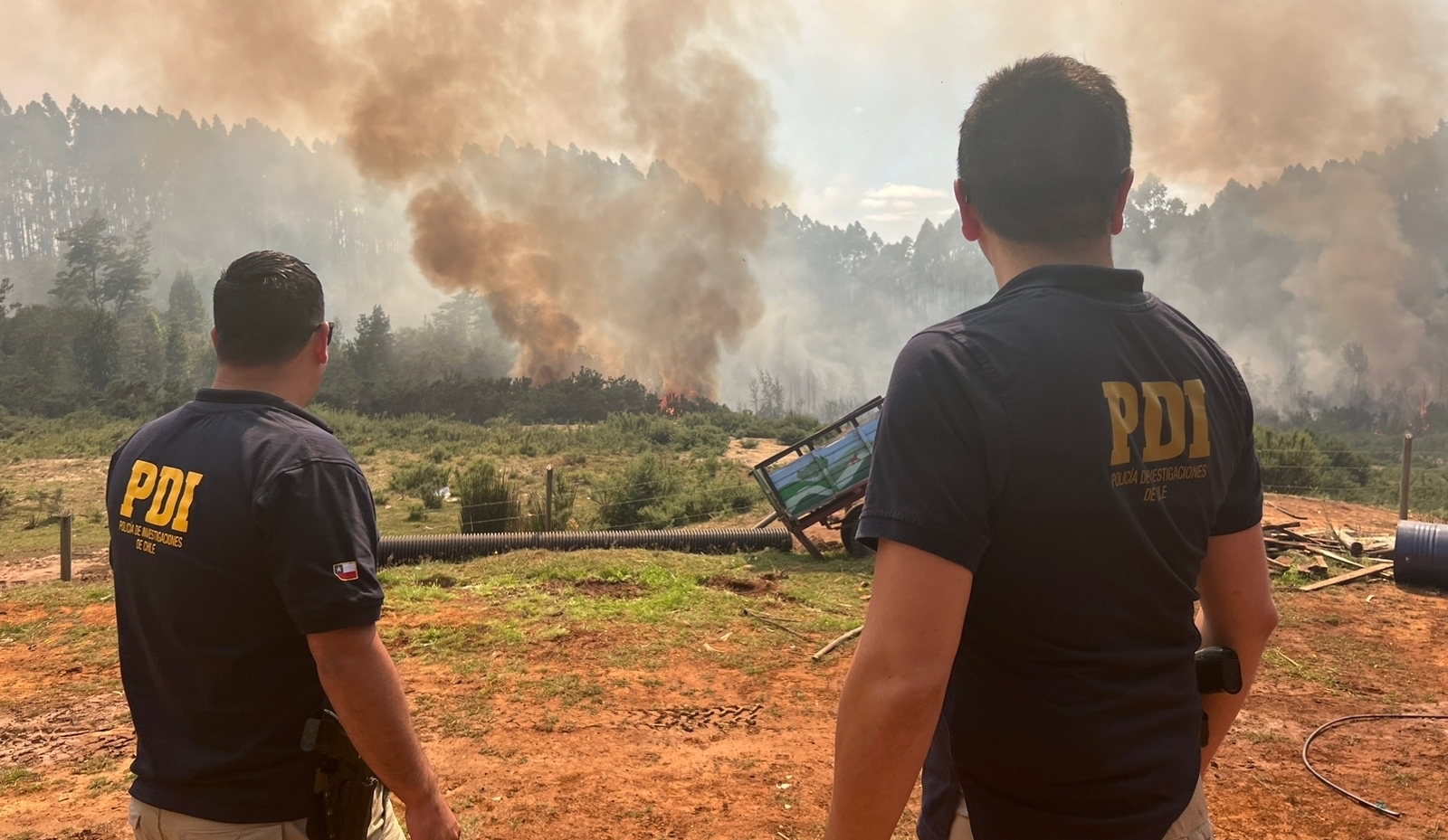 Fiscalía abrió investigación de oficio para aclarar origen de incendio forestal en Paillaco