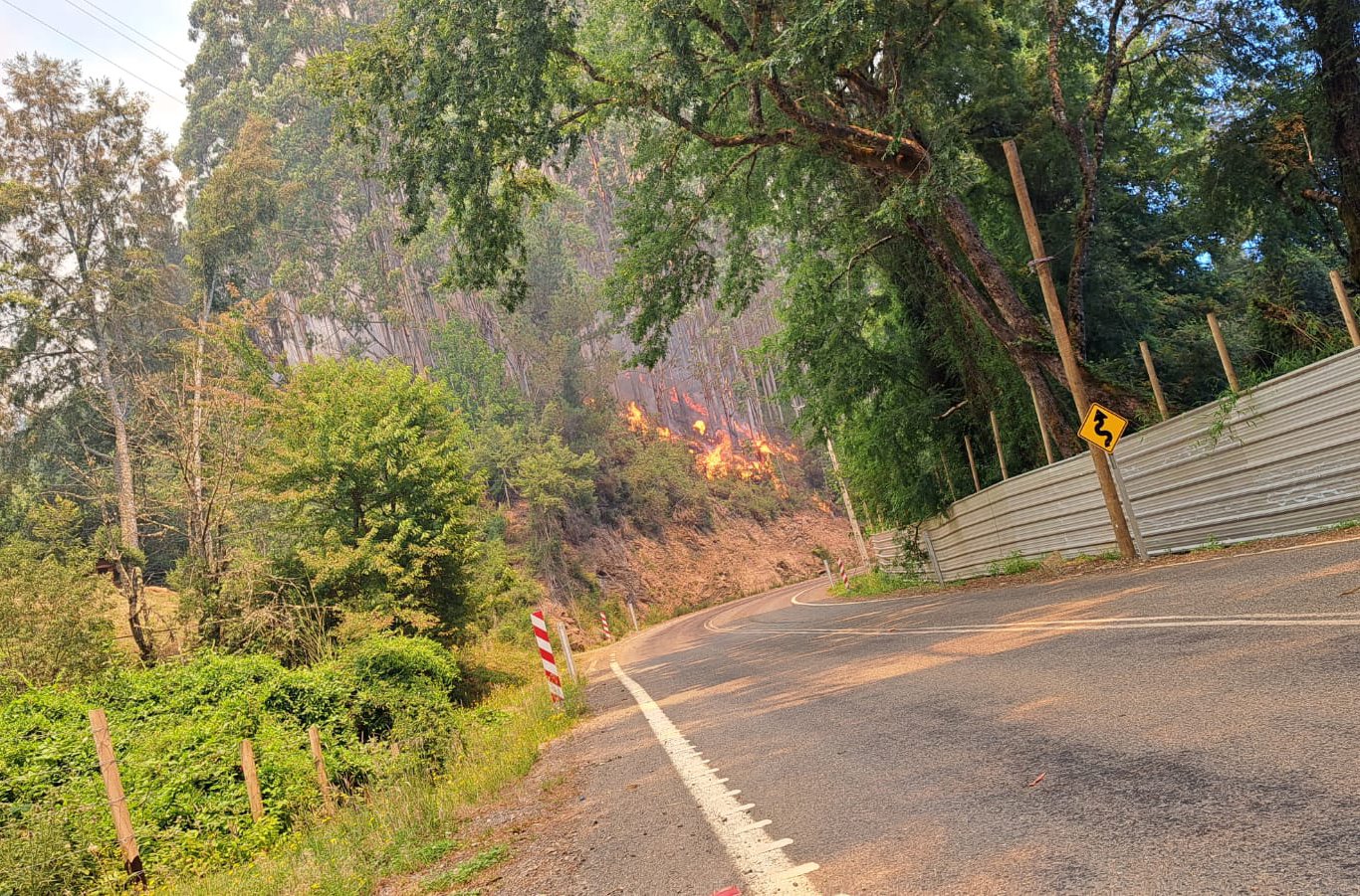 Cantidad de hectáreas consumidas por incendio forestal de Valdivia y Paillaco continúa aumentando
