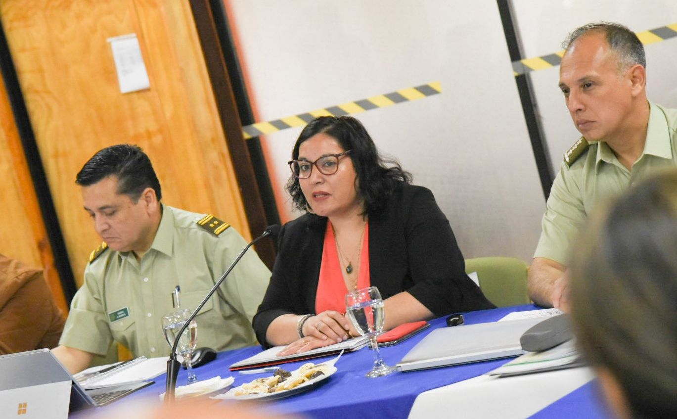 Vecinos de Guacamayo apuntan contra Delegada Peña por problemas de seguridad en el sector