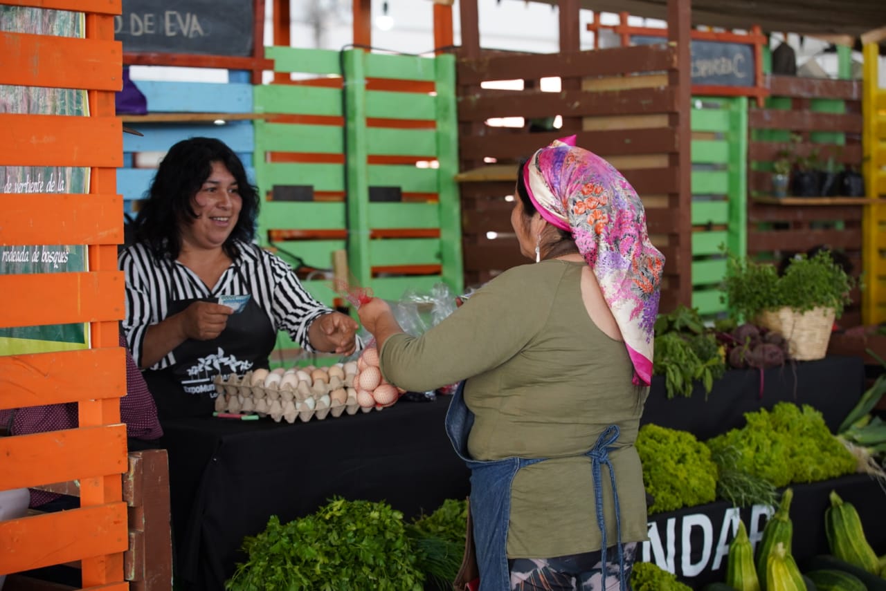 Dan inicio a la Expo Mundo Rural: Agricultores podrán comercializar sus productos en Valdivia