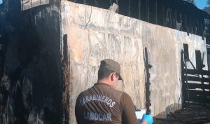 Incendio consumió un galpón de acopio agrícola en Río Bueno: LABOCAR investiga la causa
