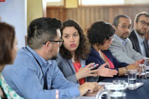 Son nueve los terrenos en Los Ríos que están en trámite para ser traspasados a Bienes Nacionales