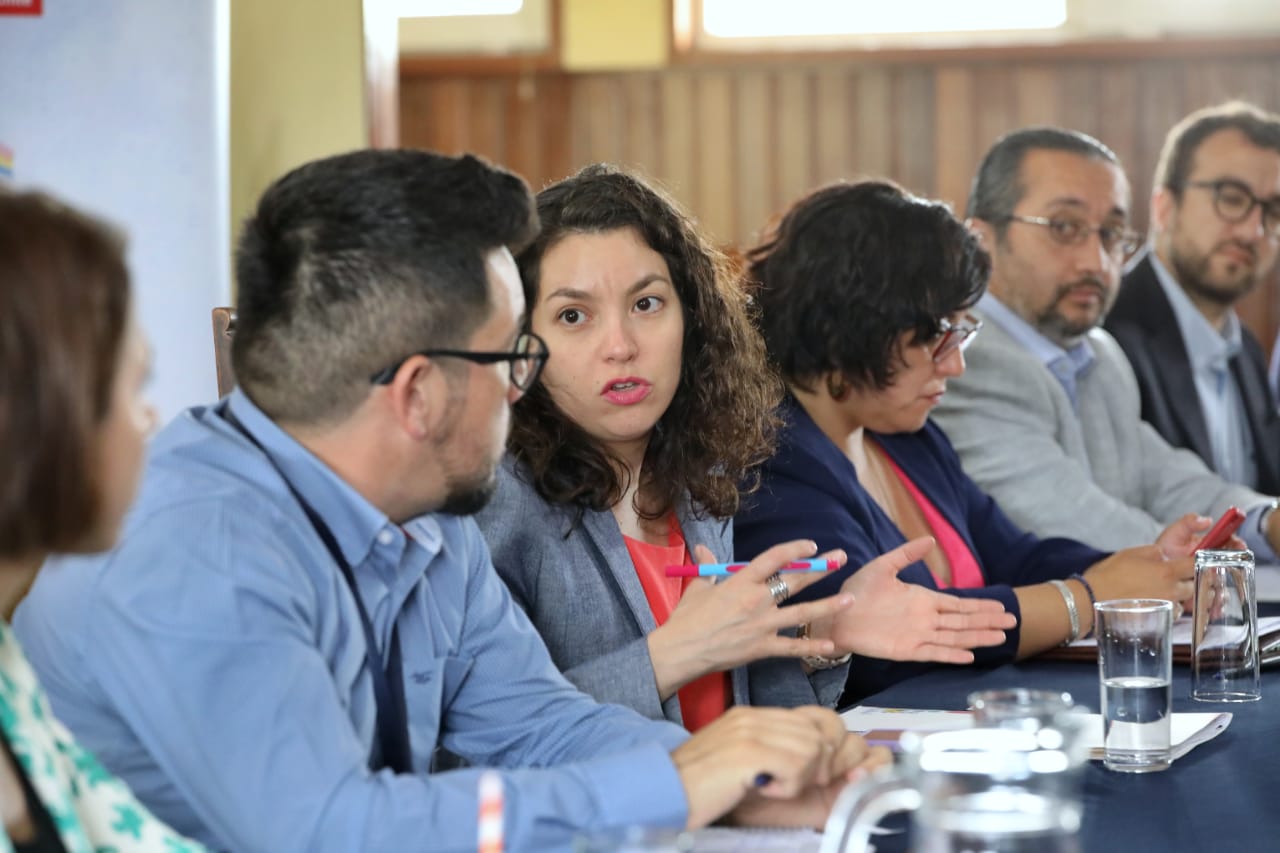 Son nueve los terrenos en Los Ríos que están en trámite para ser traspasados a Bienes Nacionales