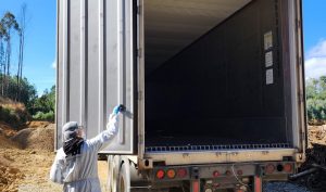 Preso quedó camionero acusado de fingir asalto para sustraer millonaria carga de salmones en Mariquina