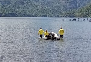 Infructuosa búsqueda de persona extraviada en un lago de Panguipulli
