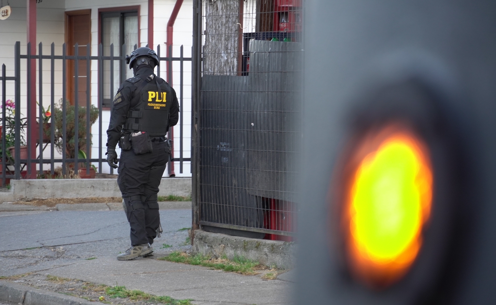 Cae banda por robo de madera en Valdivia: Operativo ha dejado varios detenidos y camiones incautados