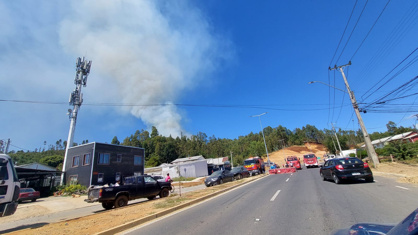 Siniestro forestal se desarrolla en cercanías de sector poblado de Valdivia