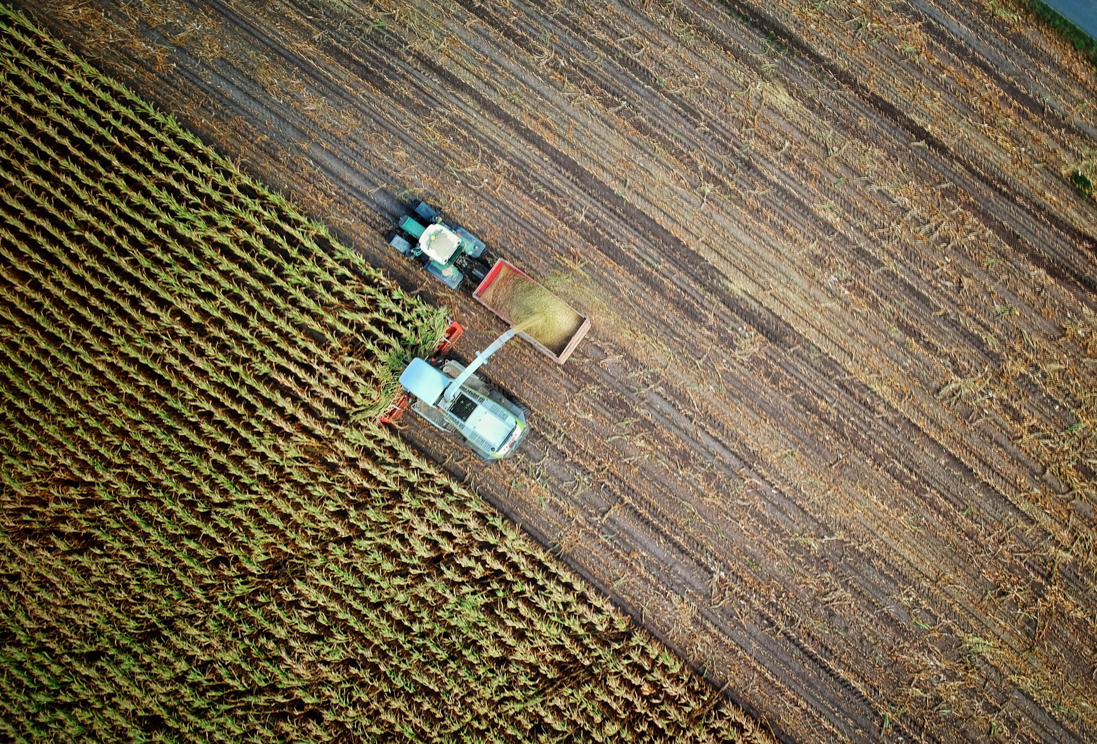 Recursos para adquirir insumos y equipamiento son entregados a más de 3 mil agricultores en Los Ríos