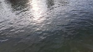 Padre e hija murieron luego de ser arrastrados por la corriente de un río en Los Lagos