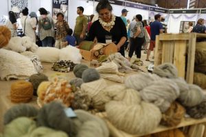 Las mentes creativas de Lago Ranco darán vida a feria que será vitrina para ofrecer sus productos