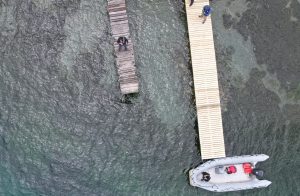 Confirman tres procesos de formulación de cargos por extracción no autorizada de agua en el lago Ranco