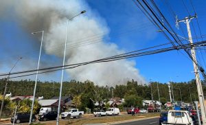 Contienen incendio forestal de Valdivia: Disminuye riesgo a viviendas e infraestructura crítica