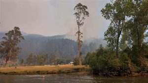 Autoridades reconocen “preocupación” por Humedal Angachilla y Morrompulli ante avance de incendios