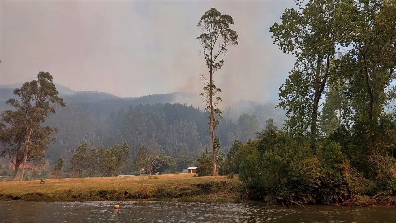 Autoridades reconocen “preocupación” por Humedal Angachilla y Morrompulli ante avance de incendios
