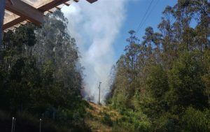 Aguas Décima activó protocolo de seguridad ante incendio forestal en el sector Cuesta Soto