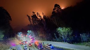 Alerta Roja en Valdivia y Corral por incendio forestal y amenaza inminente a viviendas en Futa