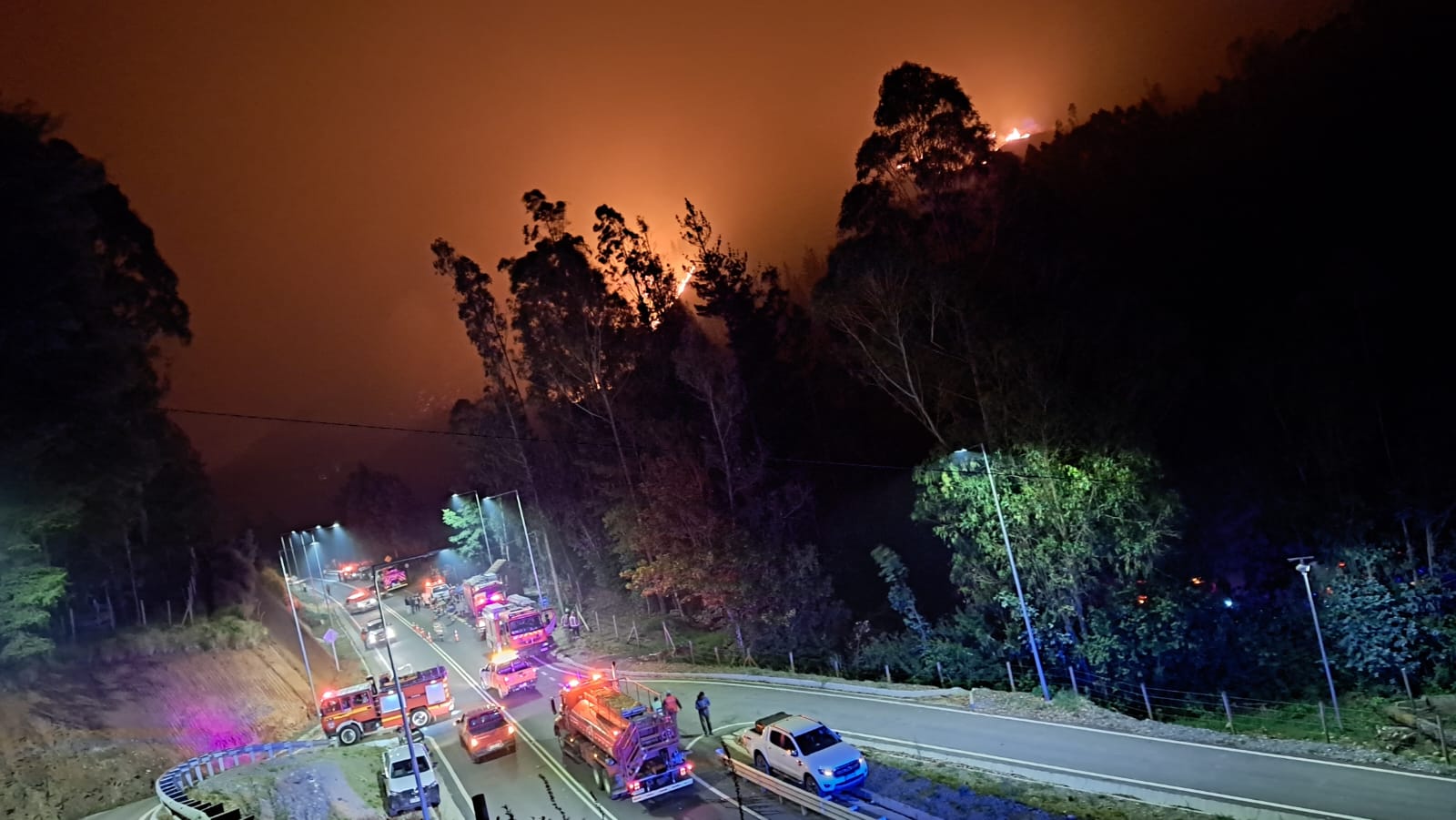 Alerta Roja en Valdivia y Corral por incendio forestal y amenaza inminente a viviendas en Futa