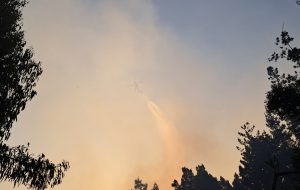Seis incendios forestales se contabilizan en la Región de Los Ríos: Dos se encuentran en combate