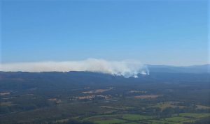 Emergencia forestal Illahue II ya superó las 900 hectáreas arrasadas por el fuego en Mariquina