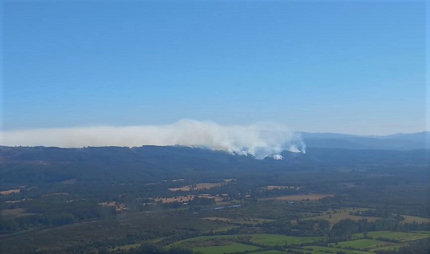 Emergencia forestal Illahue II ya superó las 900 hectáreas arrasadas por el fuego en Mariquina