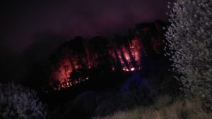 Incendios forestales no muestran avance en Los Ríos y una comuna dejó de estar bajo alerta