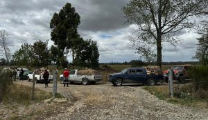 Detienen a cinco hombres por sustracción de madera utilizando camionetas en Río Bueno
